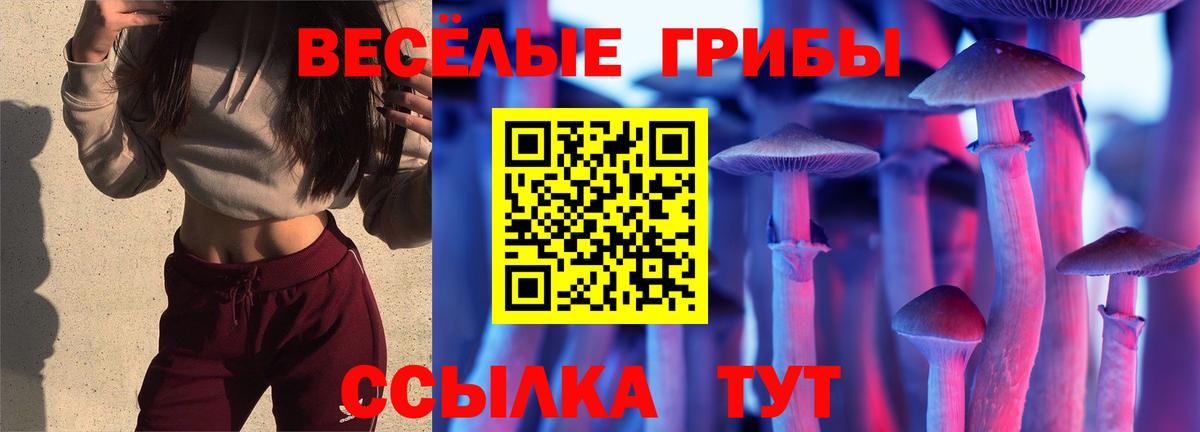 Псилоцибиновые грибы ЛСД  Вход с VPN  Верхняя Салда 